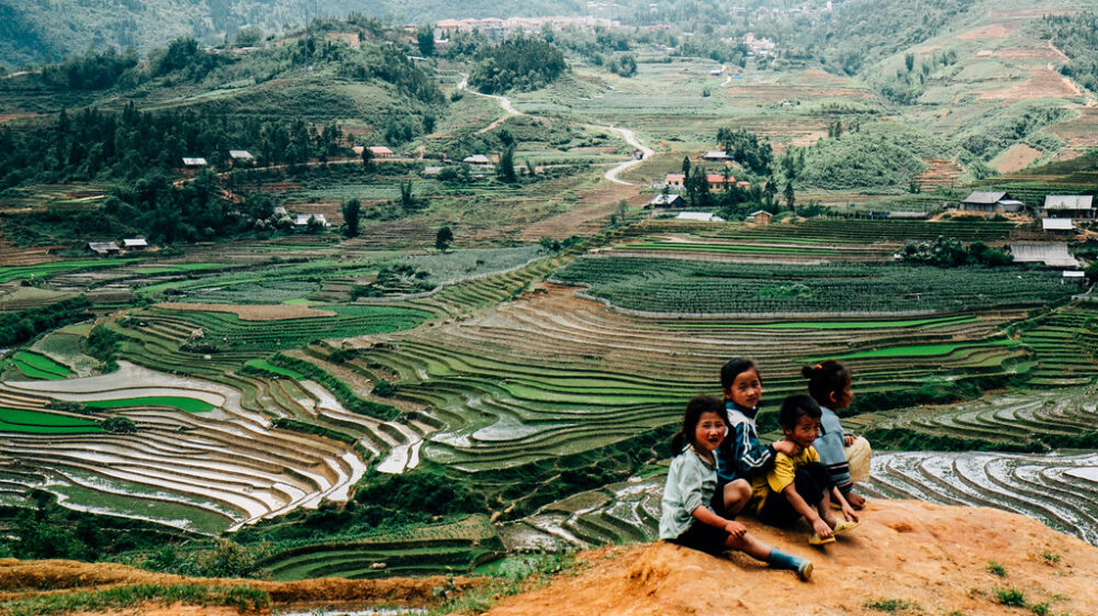 Children sit on a hill overlooking rice fields in Vietnam