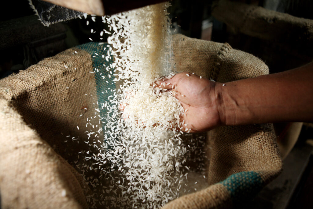 Thai worker loads rice into a bag
