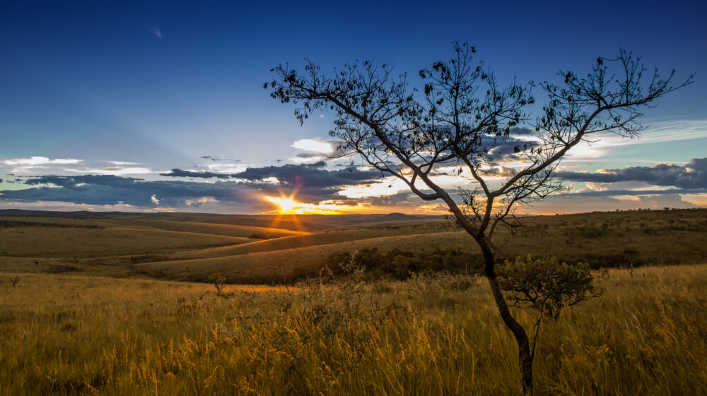 Sunset over Serra da Canastra National Park, Minas Gerais