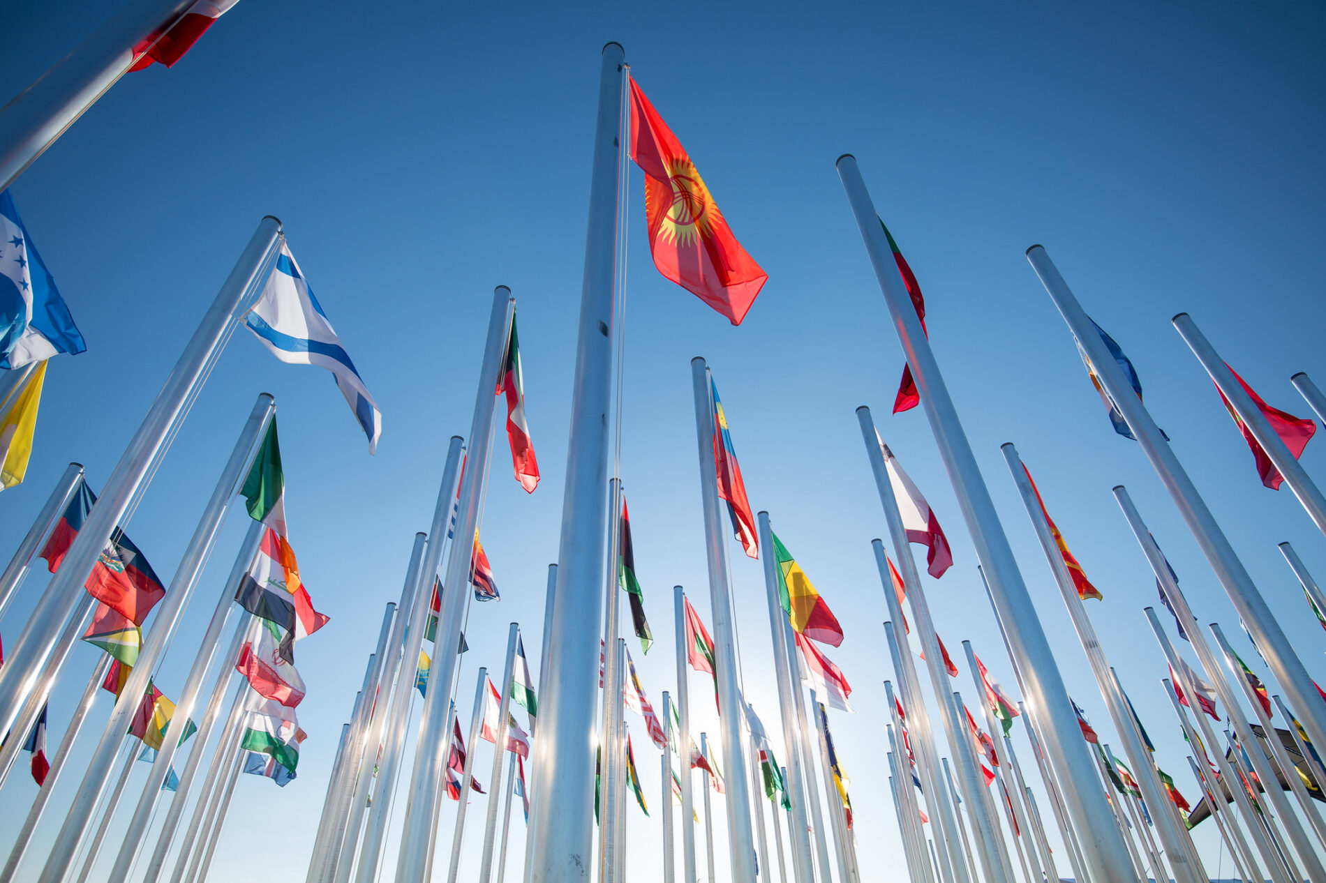flags outside the COP25 conference venue
