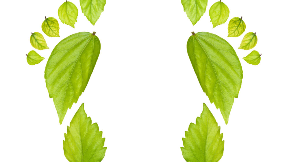 CarbonFootprints