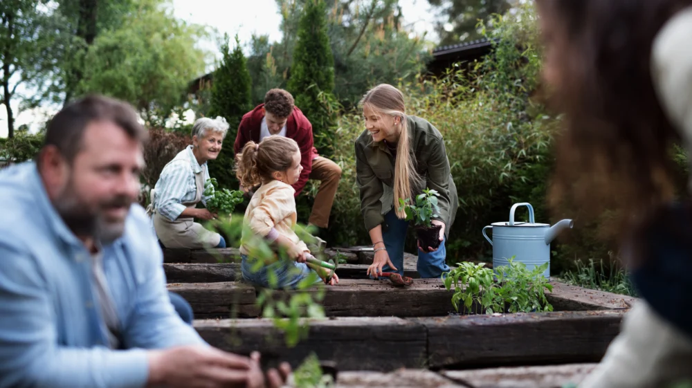Young and old people in a garden with boxes for growing vegetables. They are happy and talking to each other.