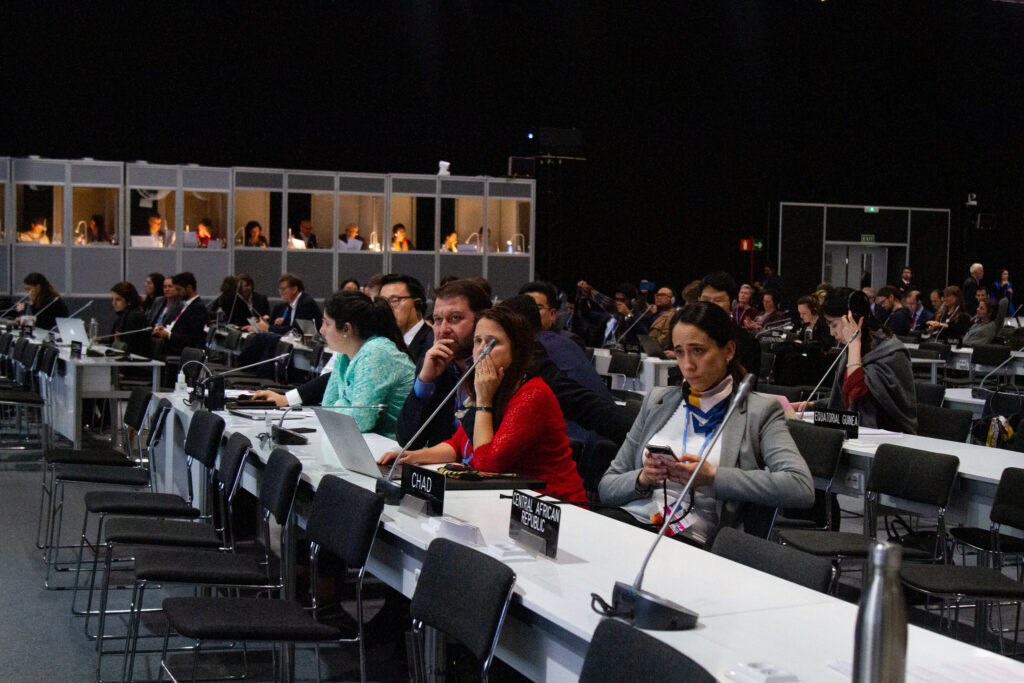 COP25 closing plenary