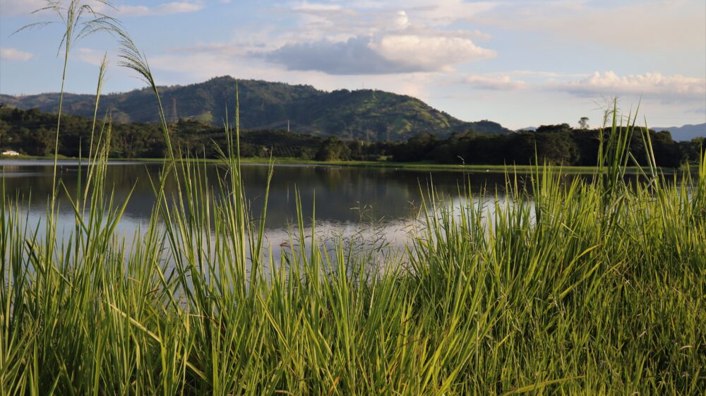 A lake in Chinchiná, Colombia, where two pilot projects have paved the way for regulatory reform in favour of green investment in water supply.