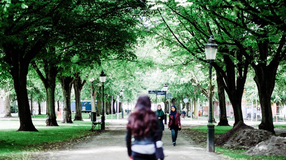 Back of woman walking down tree-lined path, Kungsgatan, Malmö, Sweden