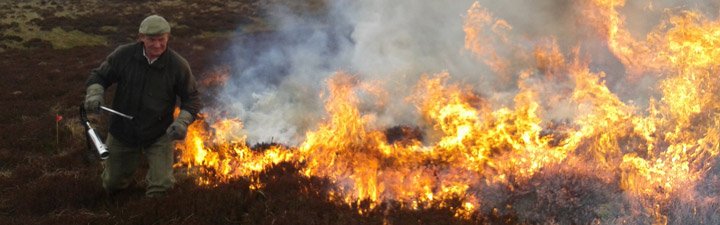 Controlled burning on UK upland peatland