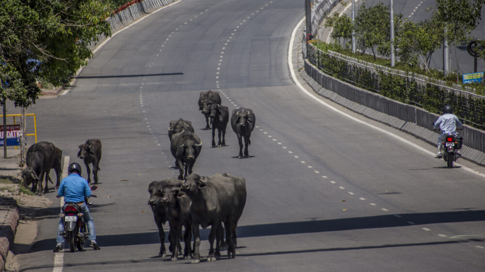 Streets in New Delhi, India during Covid-19 lockdown