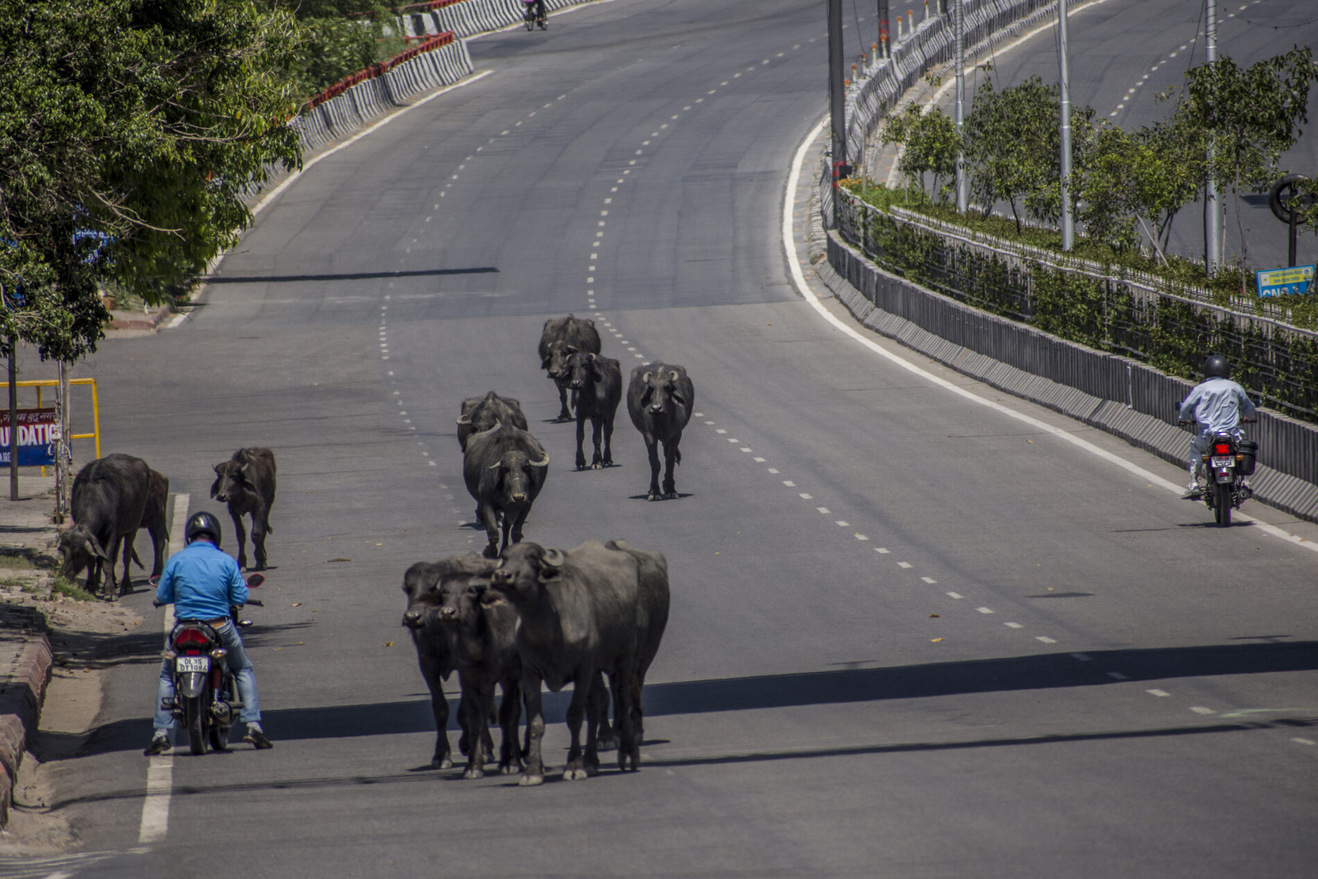Streets in New Delhi, India during Covid-19 lockdown