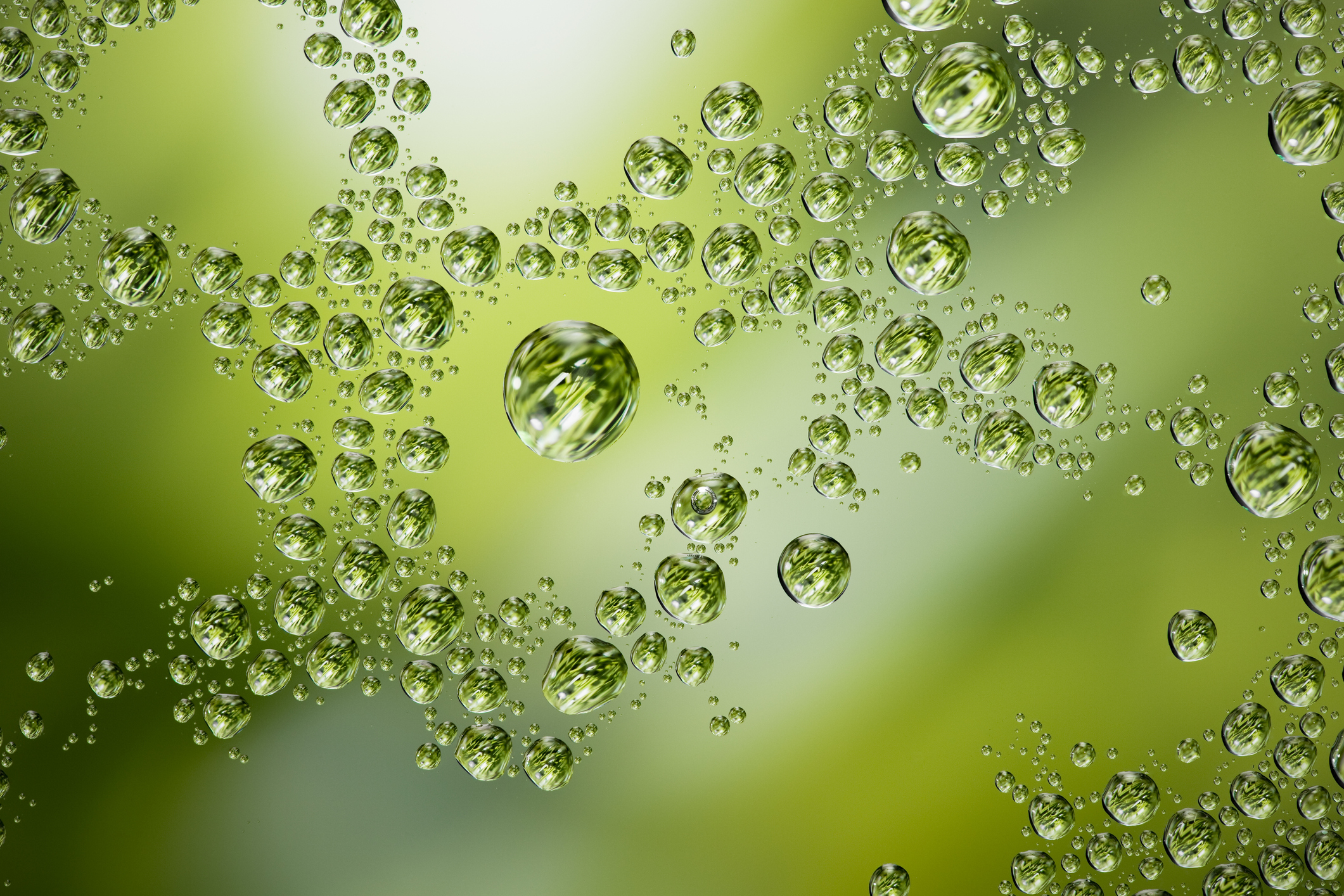 Grass water bubbles