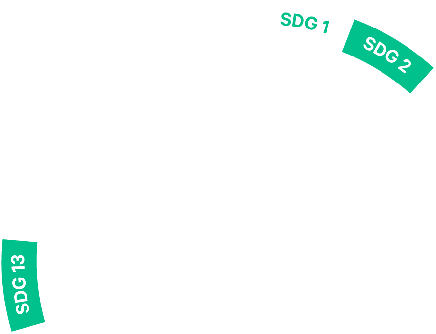 SDG1 co-benefits. SDG1 is connected to SDGs 13 and 2.