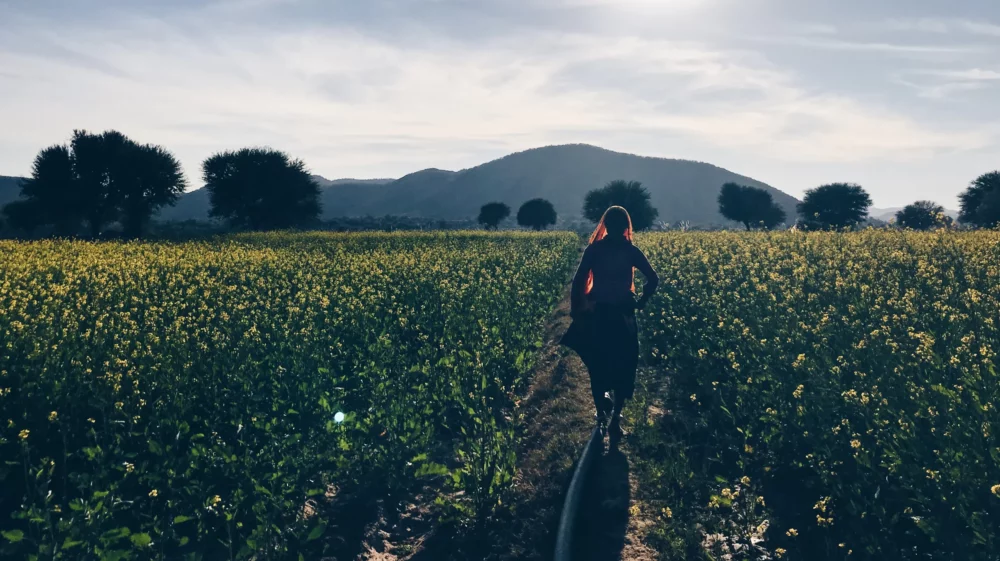 Woman walking in field in Rajasthan, India