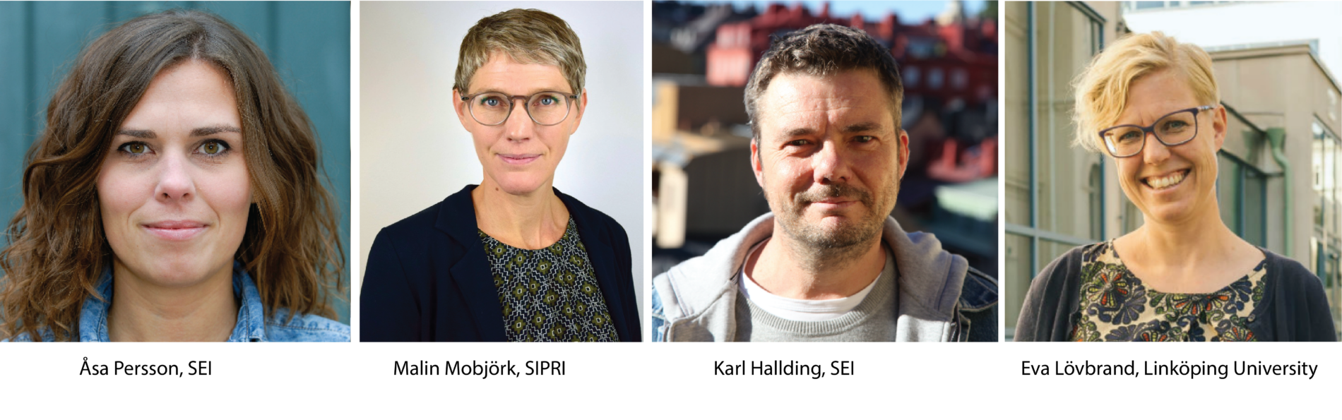Researchers in the Mistra Geopolitics programme
