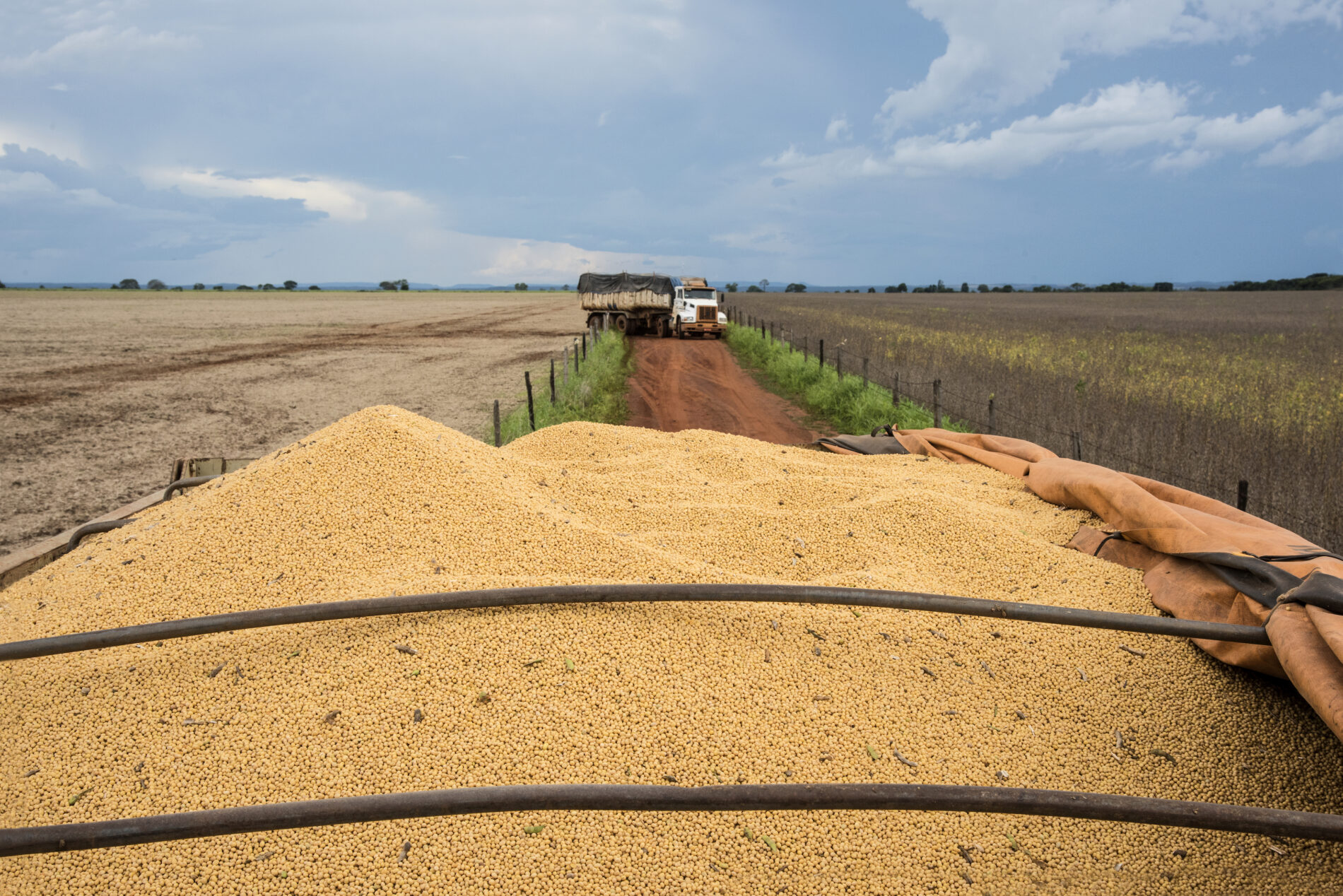 Trucks carrying soy, Brazil