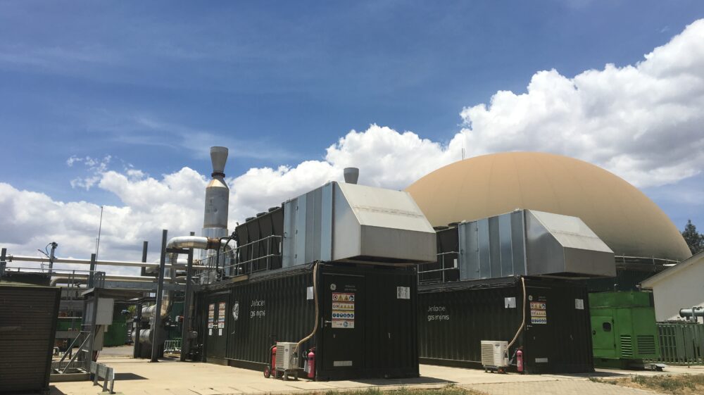 biogas digestion plant, Naivasha, Kenya