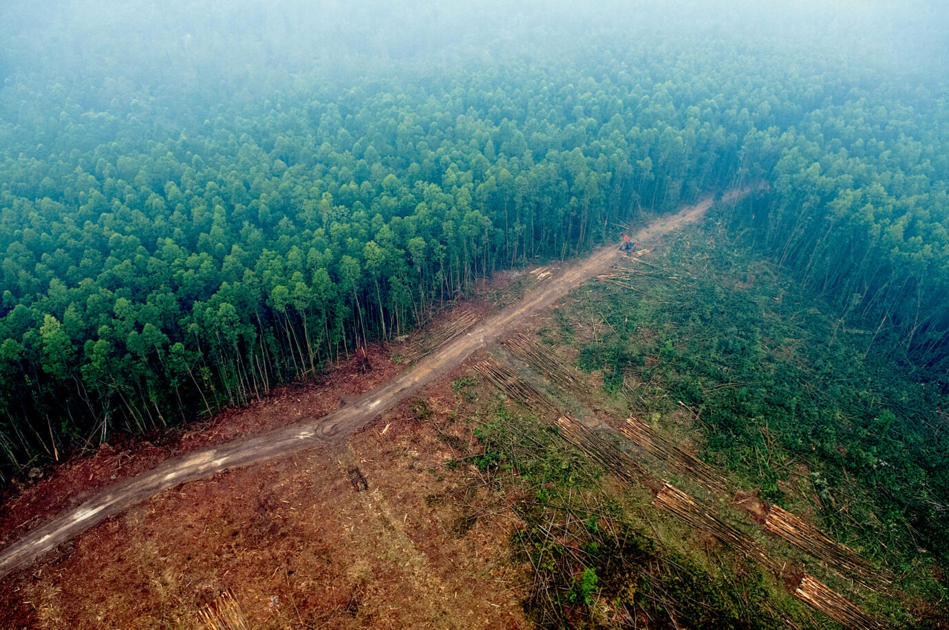 Обезлесивание. Долина Мехико обезлесение. Обезлесение Бразилии. Обезлесивание в России. Лесное хозяйство Индонезии.