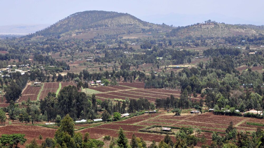 2DU Kenya11