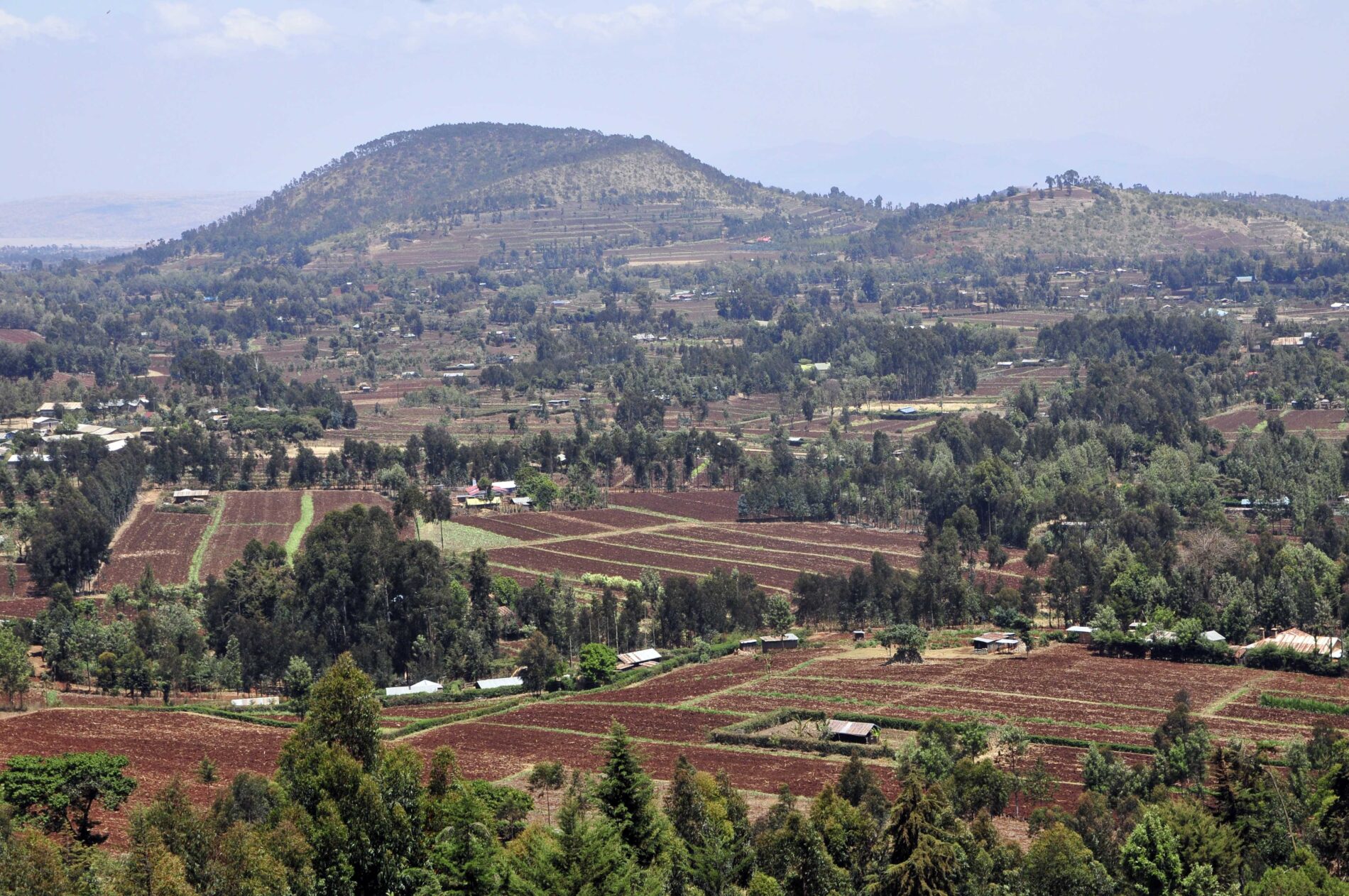 2DU Kenya11