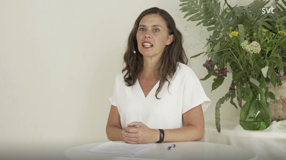 Åsa Persson SEI och Mistra Geopolitics.