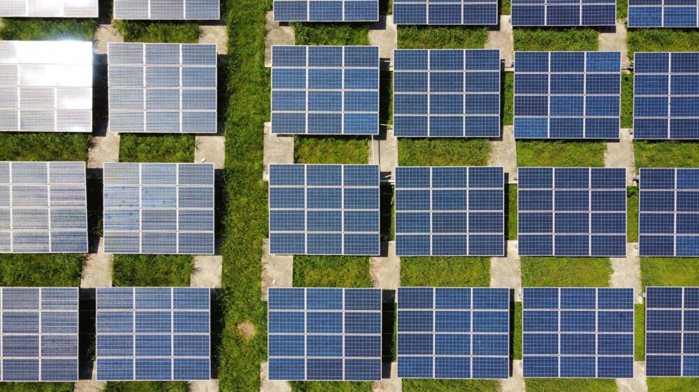 A field of solar panels