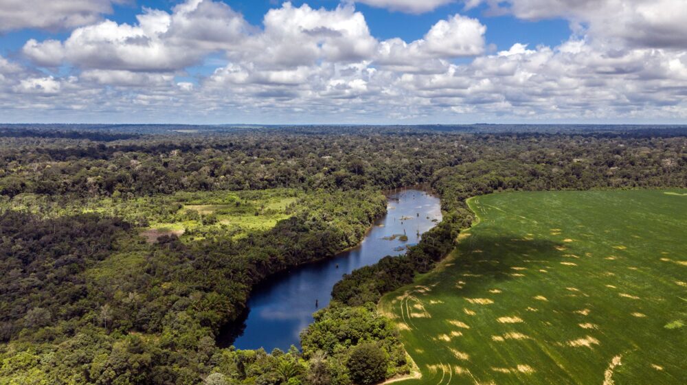 Flona Tapajós, Pará, Brasil.