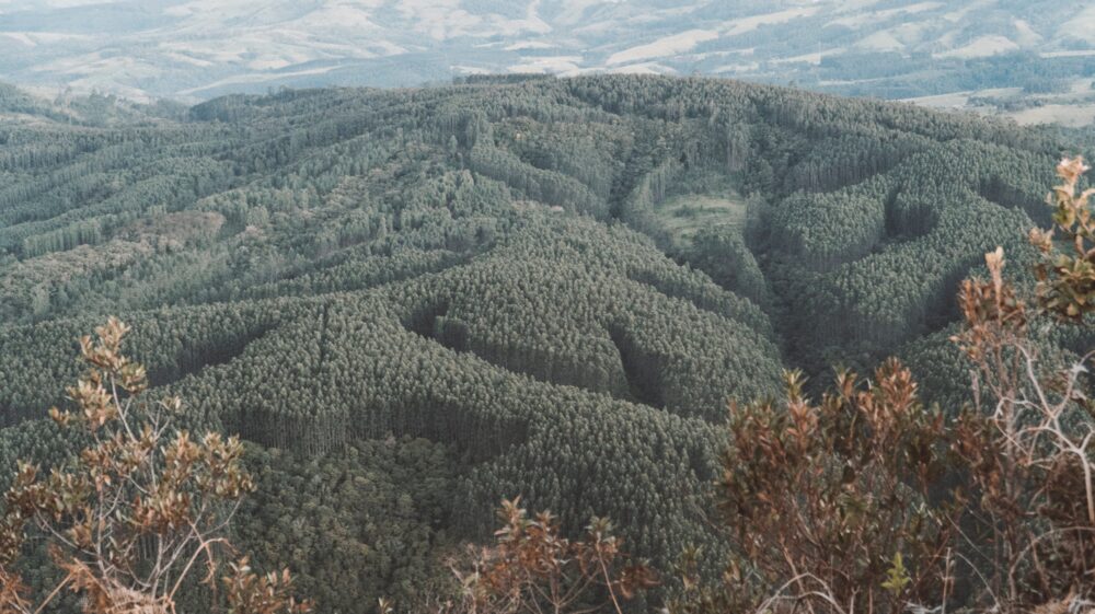 Forests and hills in Brazil
