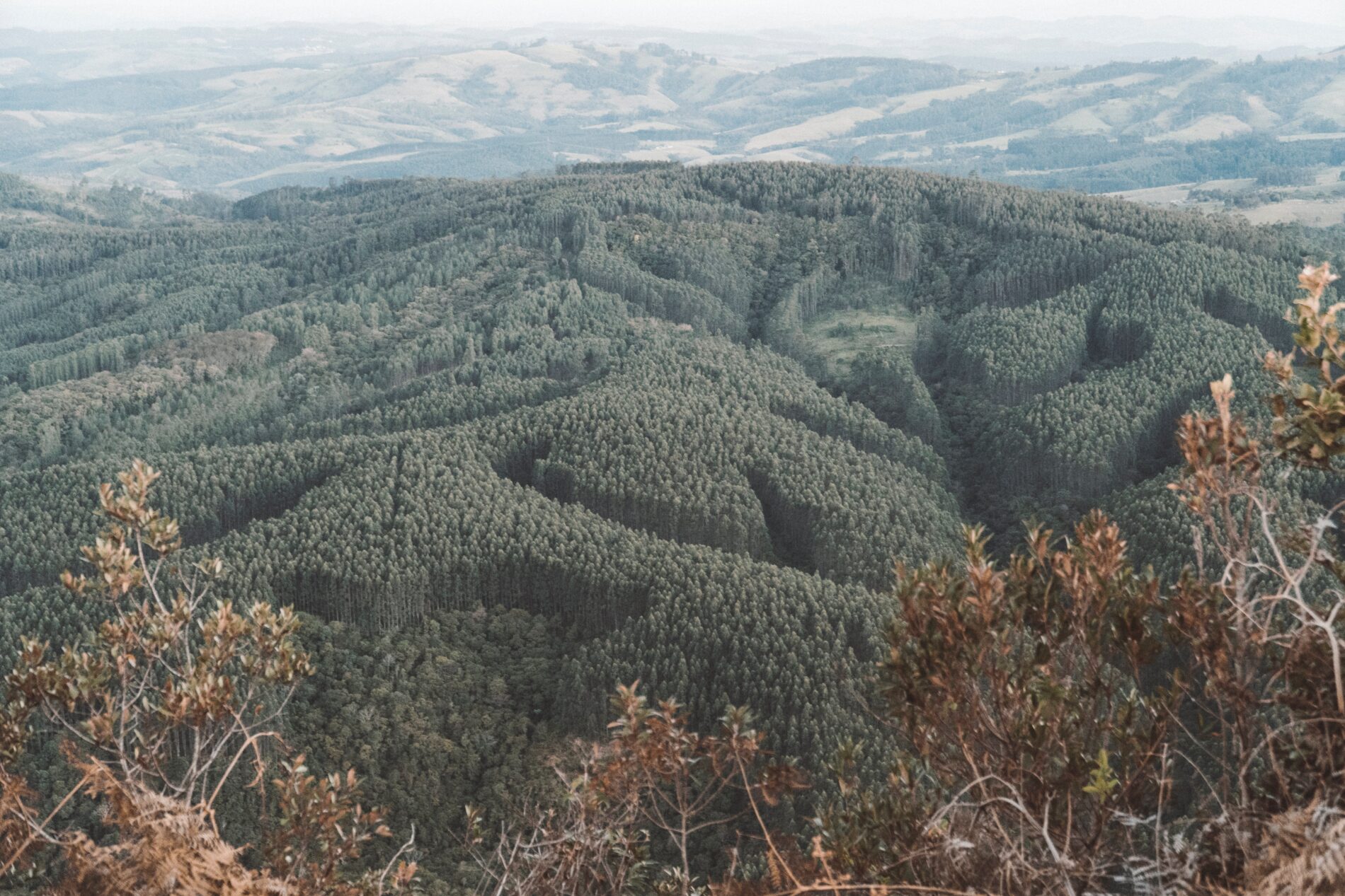 Forests and hills in Brazil