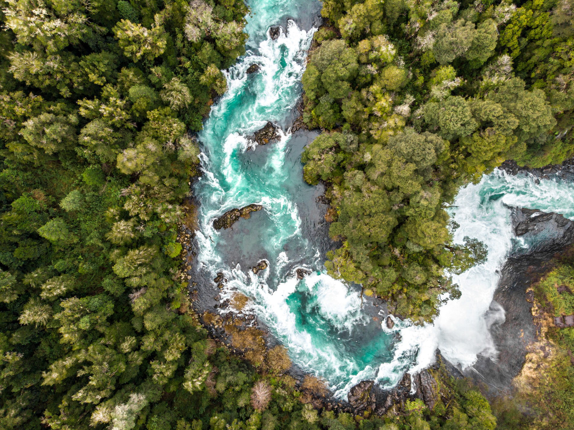 An image illustrating nature