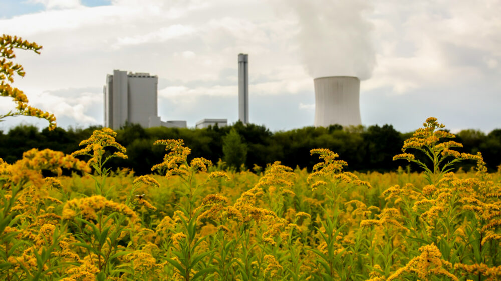 illustrating decarbonization concept