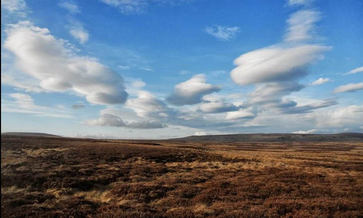 UK Moorland Scene
