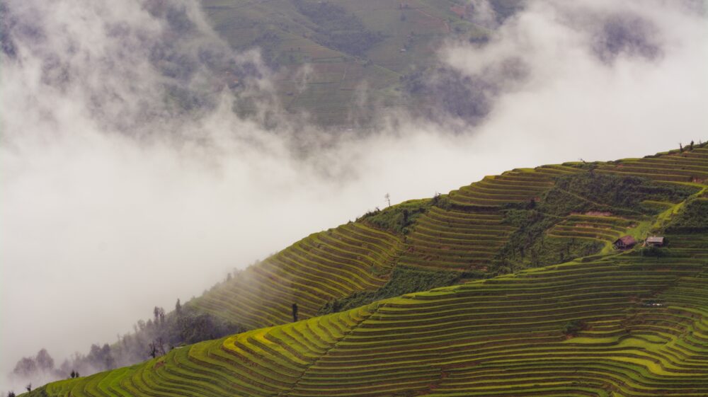 Rice fields and clouds in Vietnam
