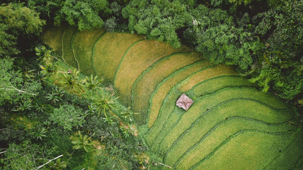 bioeconomy