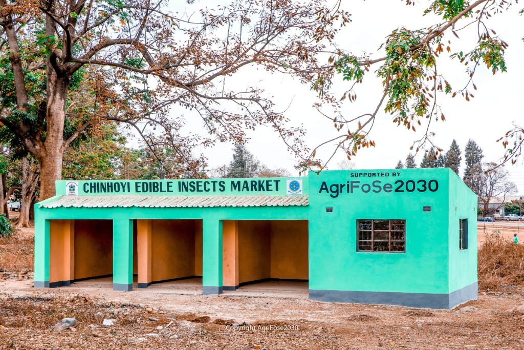 Newly built market structure for selling of edible insects.