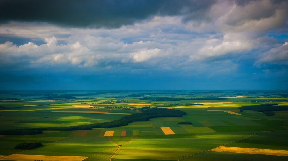 Fields