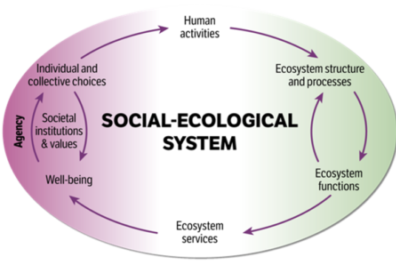 Social-ecological system model