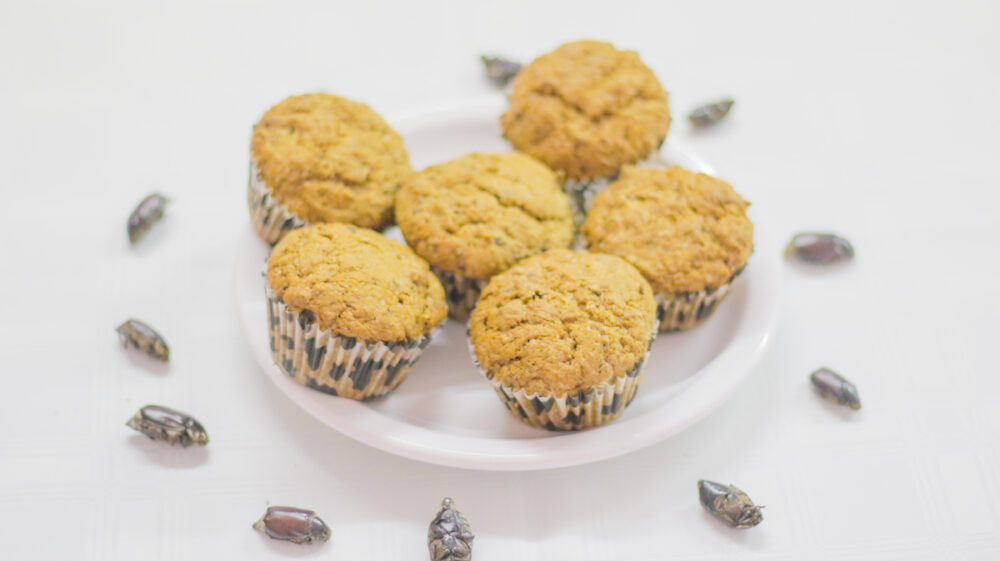 Chafer beetle cupcakes
