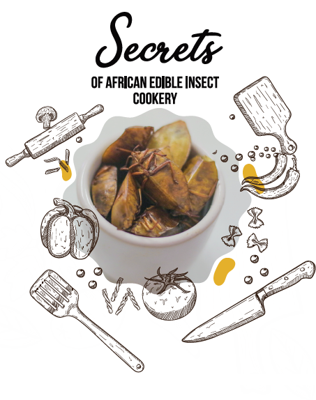 cook book cover