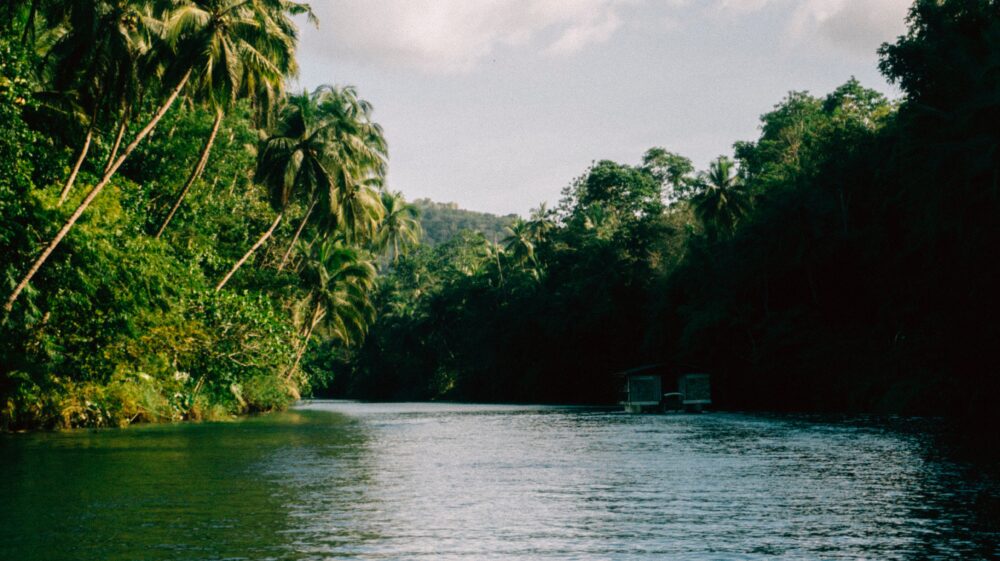 River and trees