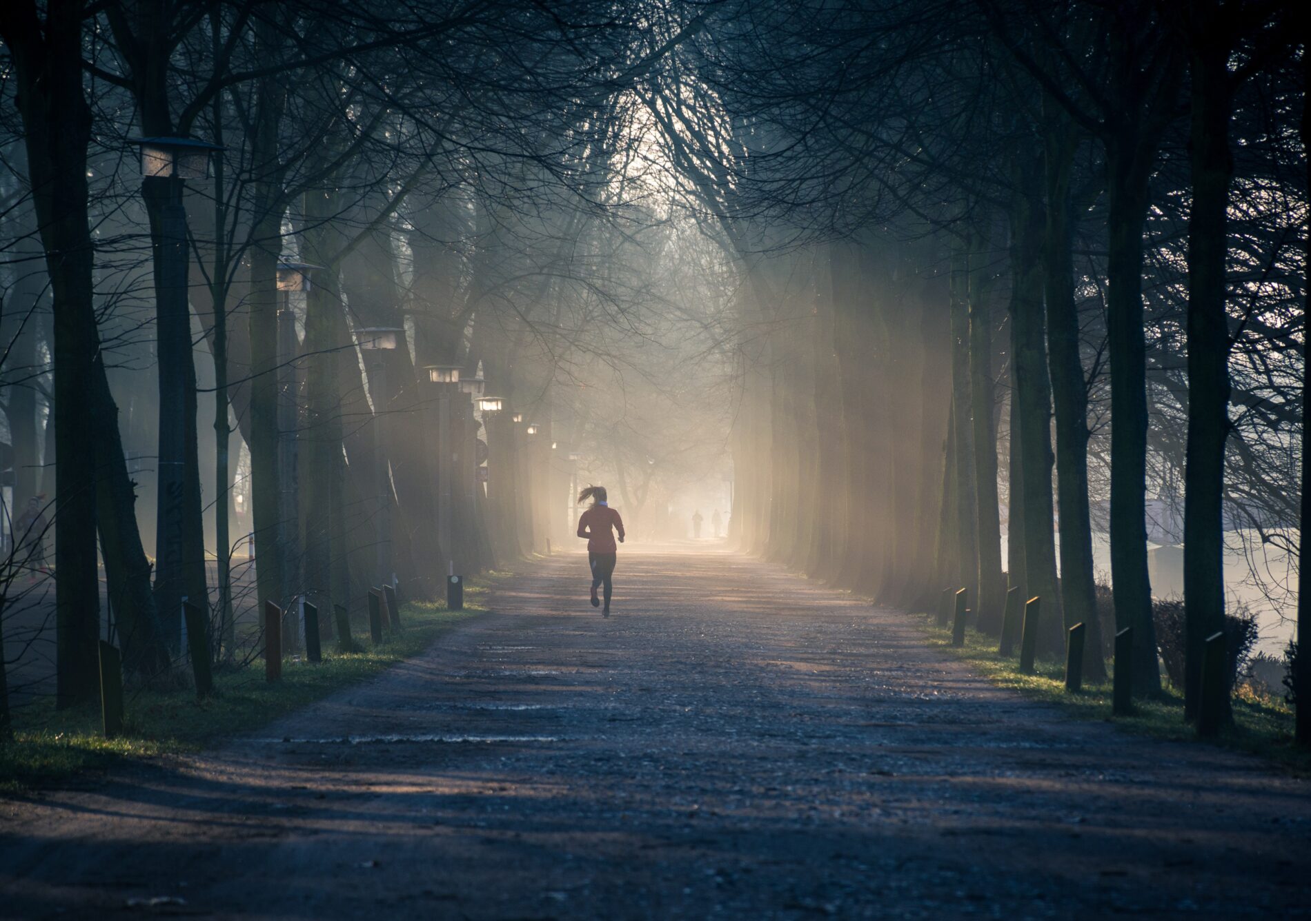 Exercise in the park