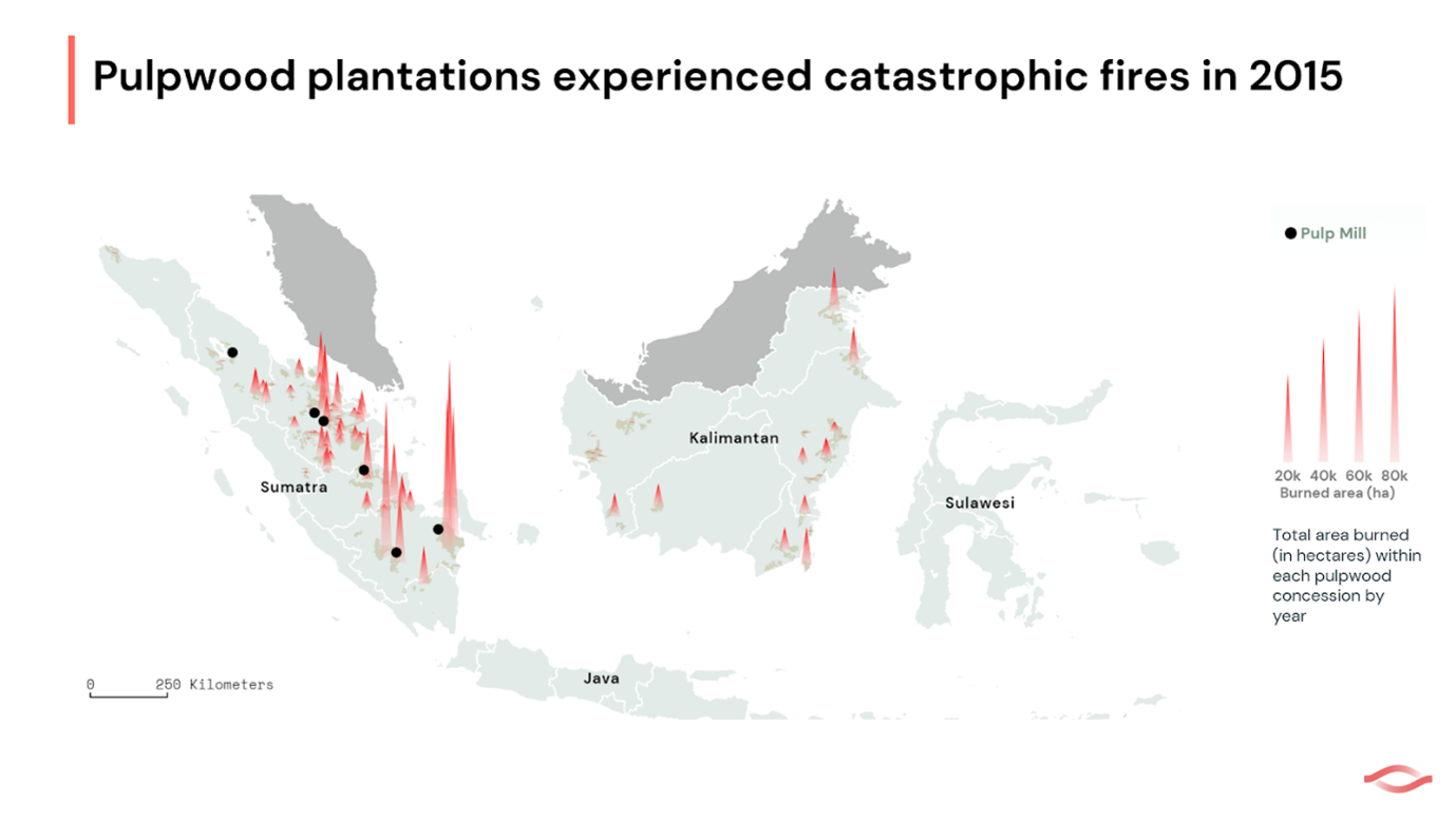 The impact of fires