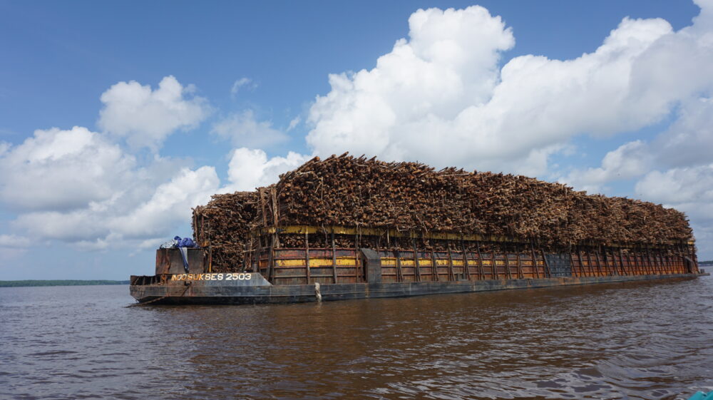West Kalimantan, Indonesia.