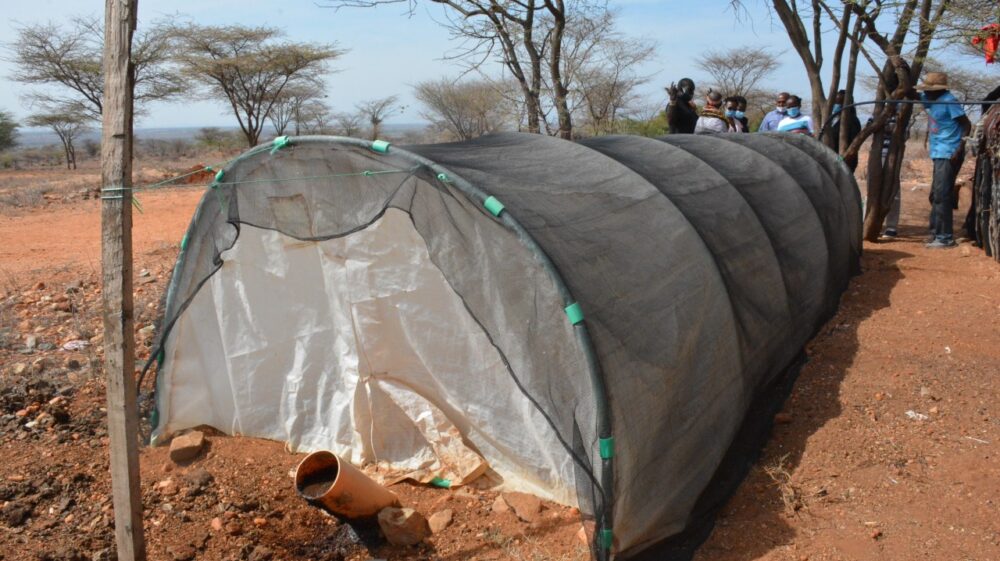 Katerina biodigester