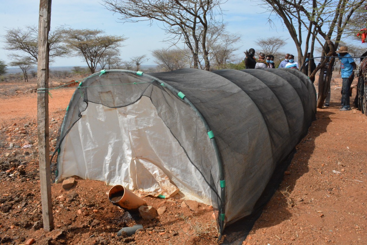 Katerina biodigester