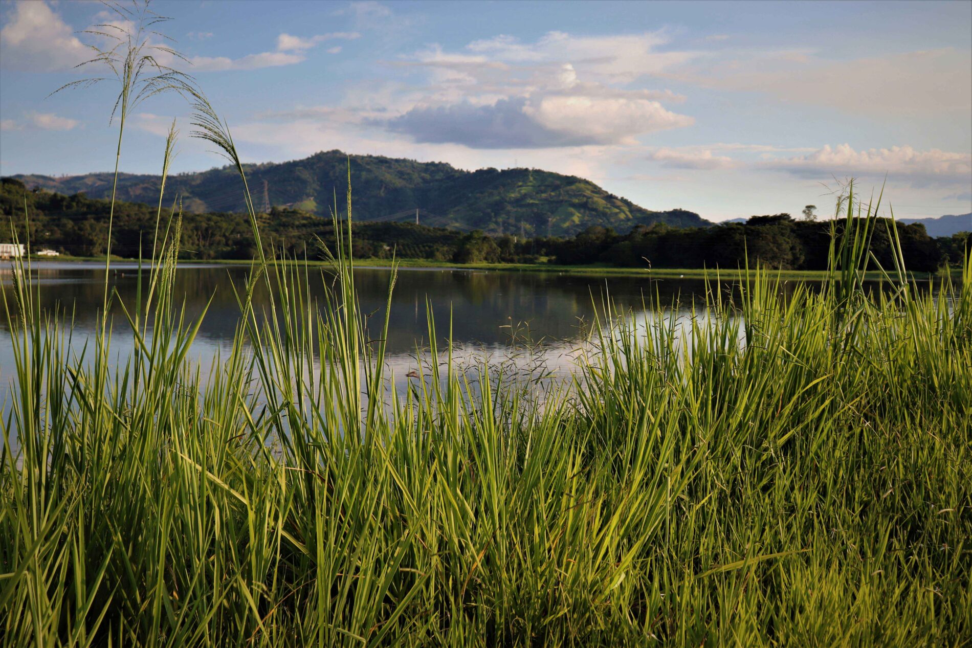 A lake in Chinchina, Colombia.
