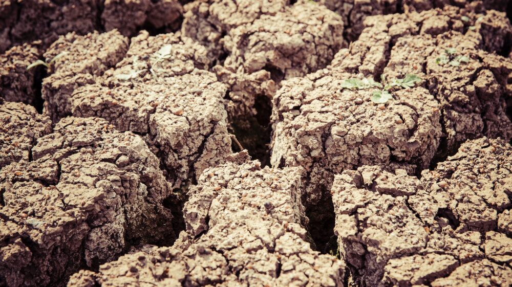 Drought