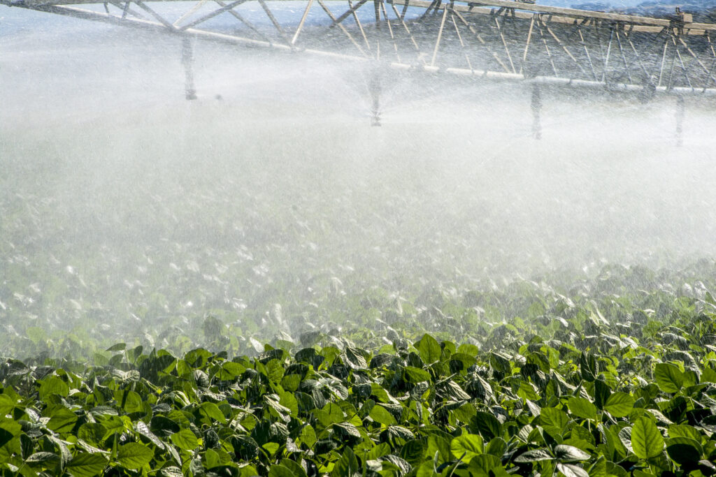 irrigation system watering a farm field of soy, in Brazil