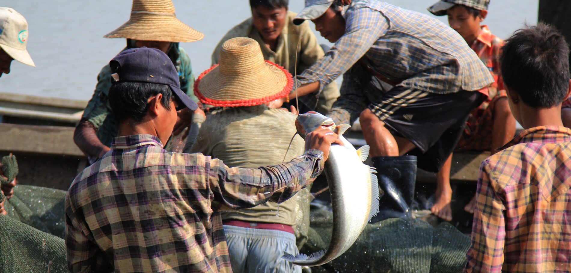 Children catching fish