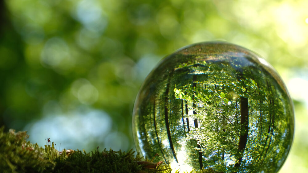 Reflection of bright young green spring leaves, trees and moss inside lensball