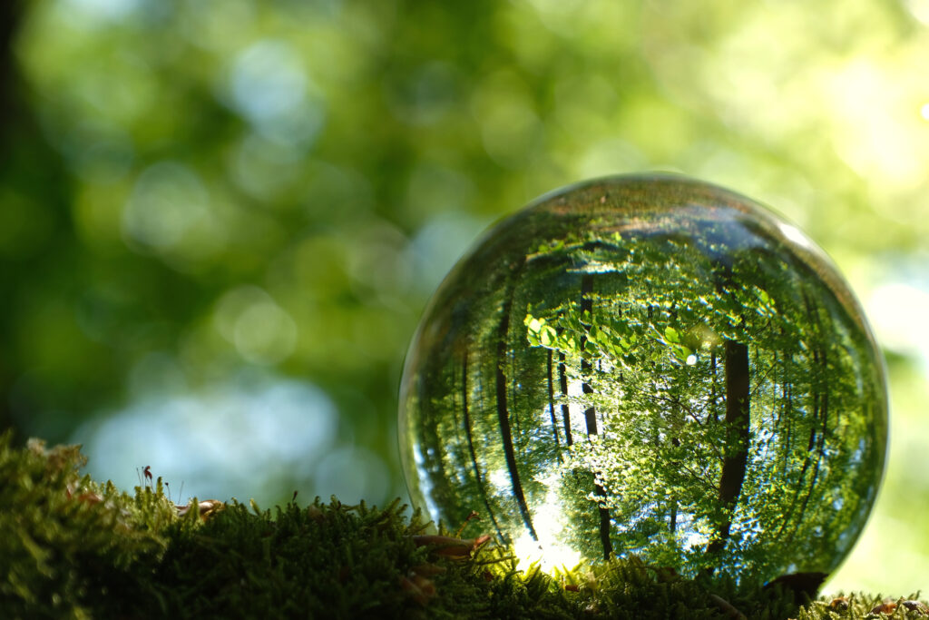 Reflection of bright young green spring leaves, trees and moss inside lensball