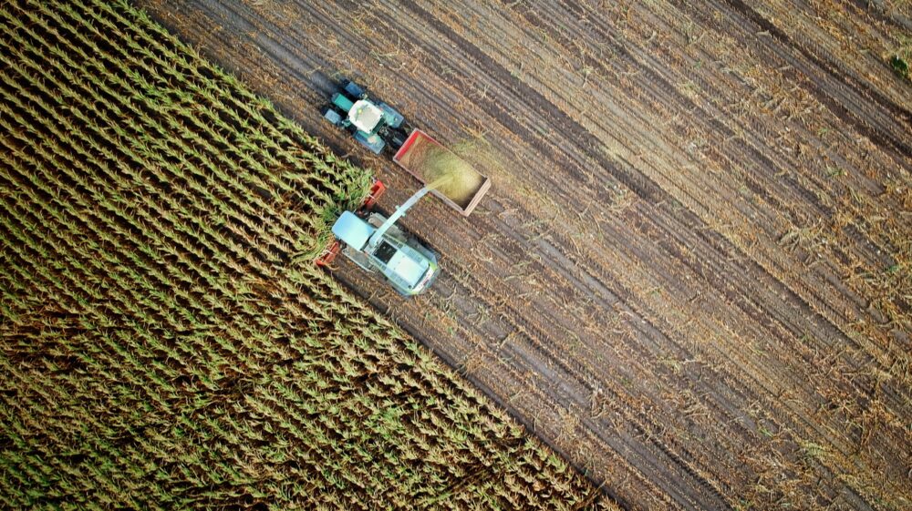 Corn harvest in Warendorf, Germany
