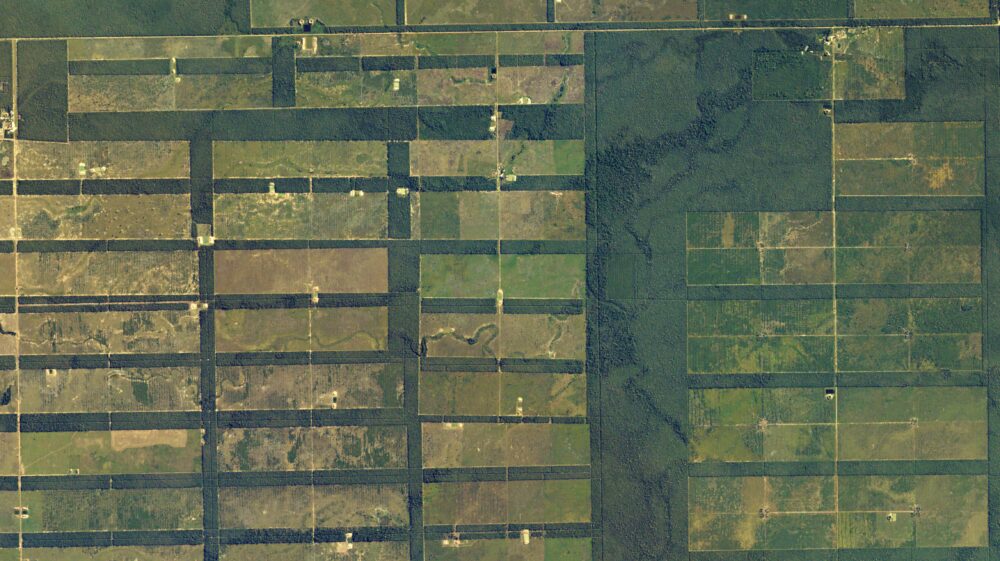Enormous swaths of dry forest in Paraguay’s sparsely populated Chaco Boreal region have been cleared for cattle ranching